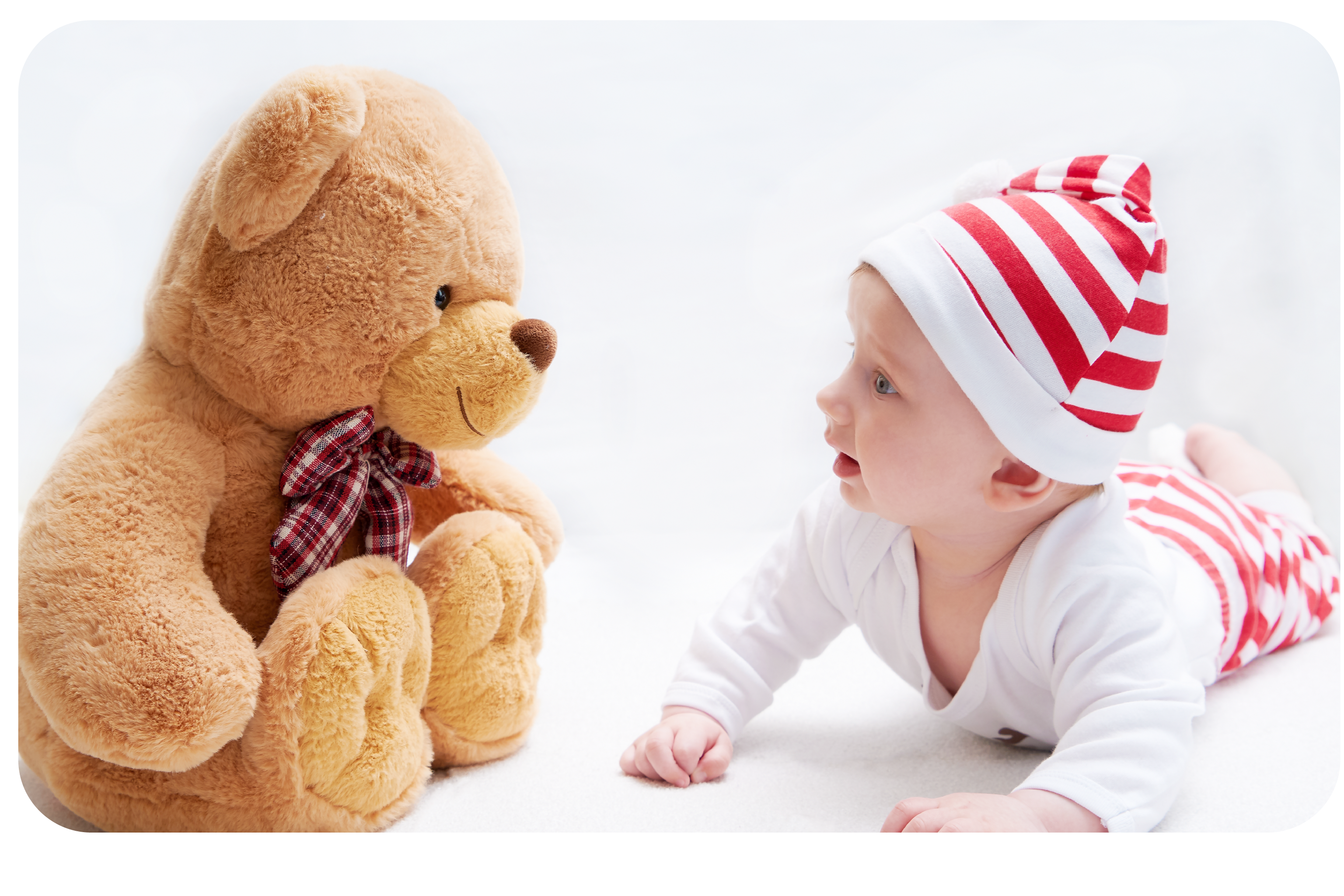 Soft Toy Care Process